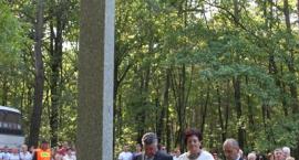 zdjęcie nr 42