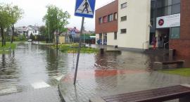 Fotka nr 1 z 8
