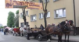 zdjęcie nr 42