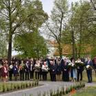 zdjęcie nr 190
