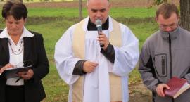 zdjęcie nr 7