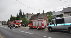 Fotka nr 5 z 18