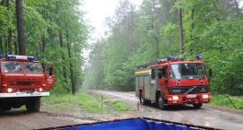 Fotka nr 4 z 49
