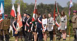 zdjęcie nr 21