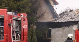 zdjęcie nr 62