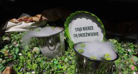 zdjęcie nr 117