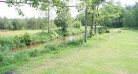 zdjęcie nr 14