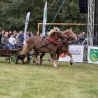 zdjęcie nr 18