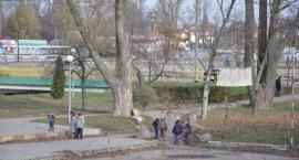zdjęcie nr 17
