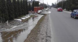 zdjęcie nr 17