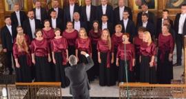 zdjęcie nr 11