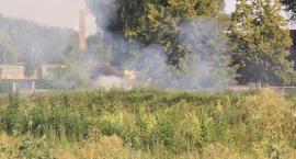 Fotka nr 3 z 12