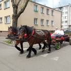 zdjęcie nr 9