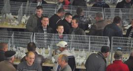 zdjęcie nr 7