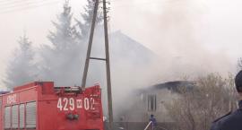 zdjęcie nr 36