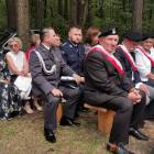 zdjęcie nr 17