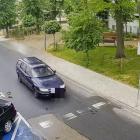 Fotka nr 2 z 8