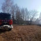 Fotka nr 3 z 17