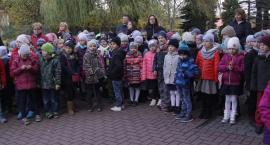 zdjęcie nr 13