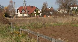 zdjęcie nr 12