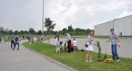 zdjęcie nr 16