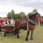 zdjęcie nr 80