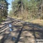 zdjęcie nr 34