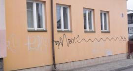zdjęcie nr 11