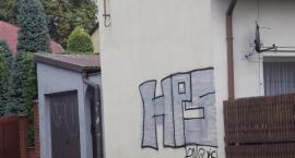 zdjęcie nr 7