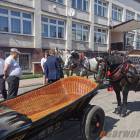 zdjęcie nr 55