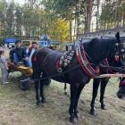 zdjęcie nr 21