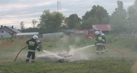 zdjęcie nr 8