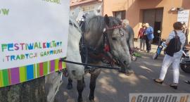 zdjęcie nr 43