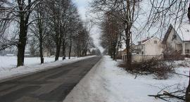 zdjęcie nr 14