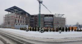 zdjęcie nr 7