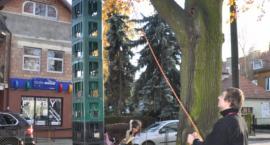 zdjęcie nr 76