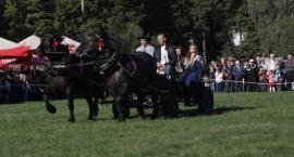 zdjęcie nr 61