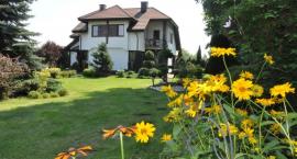 zdjęcie nr 44