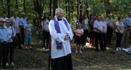 zdjęcie nr 35