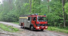 Fotka nr 5 z 49