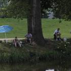 zdjęcie nr 37