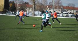 Fotka nr 2 z 11