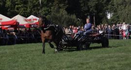 zdjęcie nr 62