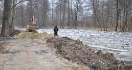 zdjęcie nr 8