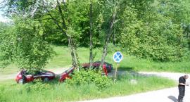 zdjęcie nr 16