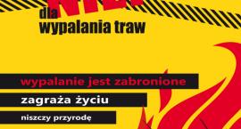 Fotka nr 0 z 3