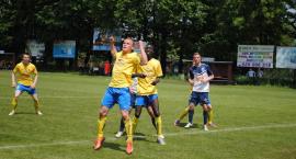 zdjęcie nr 10