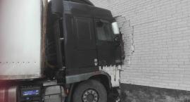 Fotka nr 3 z 12