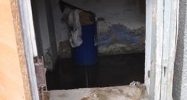 zdjęcie nr 42