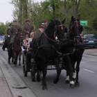 zdjęcie nr 115